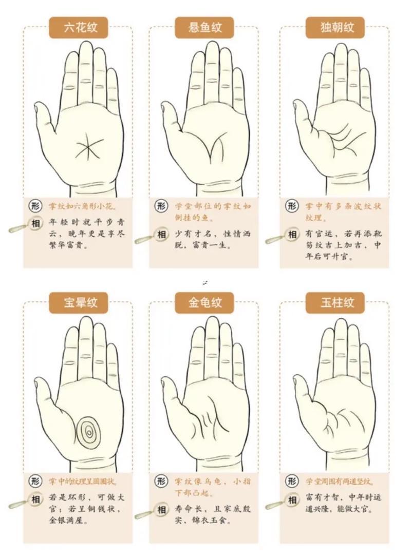 怎么看手相圖解男
