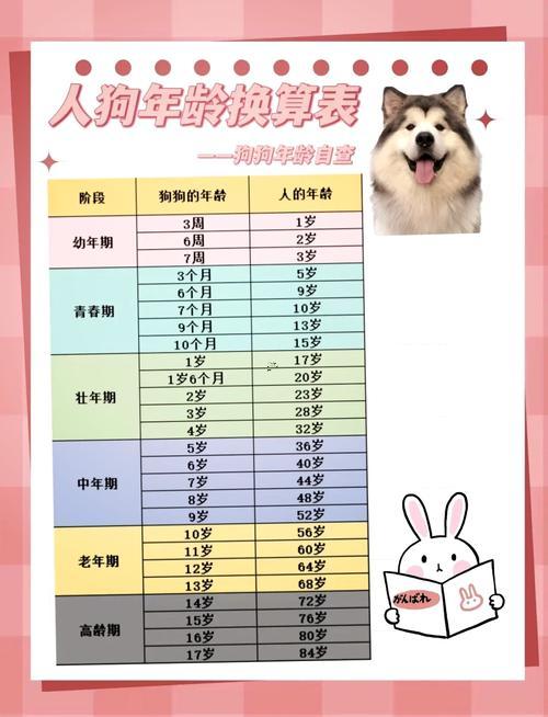 屬狗年齡對(duì)照表