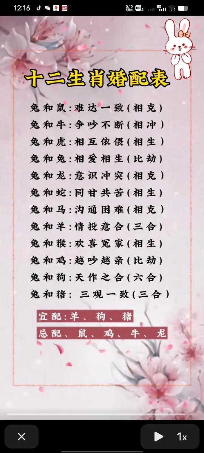 豬合兔相配婚姻怎么