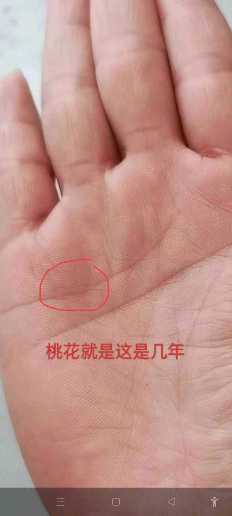 手掌手相