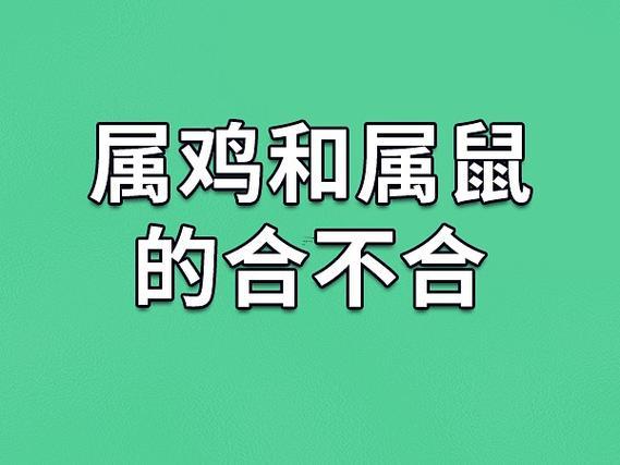 猴跟鼠合不合