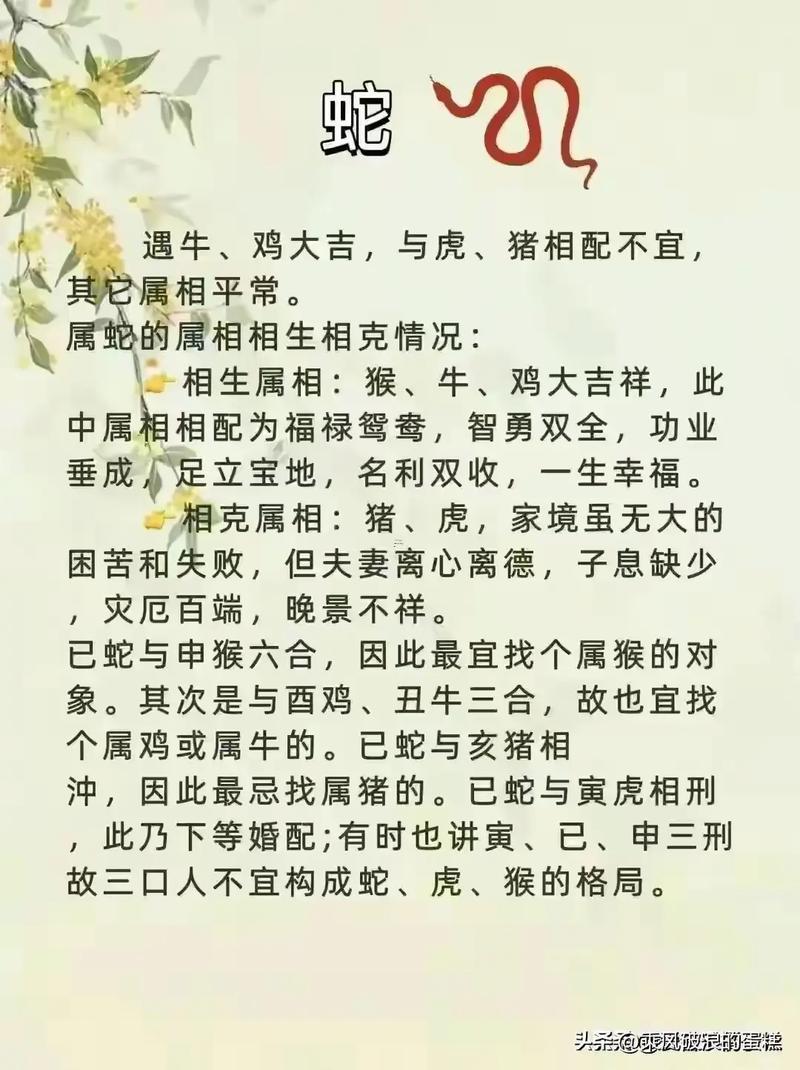 龍與馬合不合