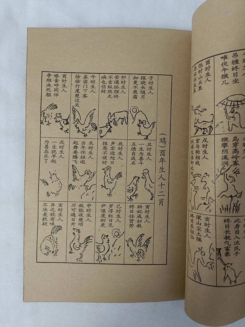 算命看什么書