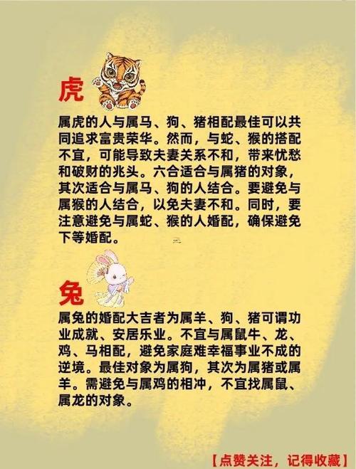 屬龍還有屬豬的相配嗎