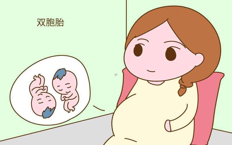 夢見生雙胞胎兒子