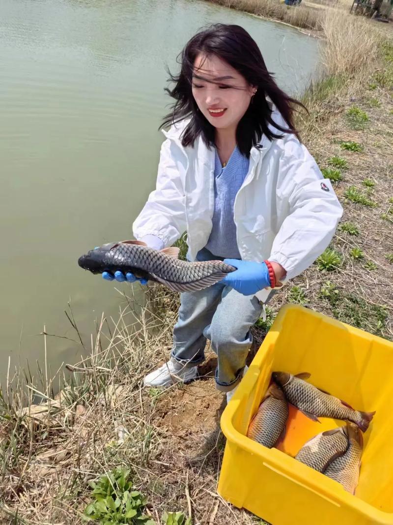 夢(mèng)見放生魚