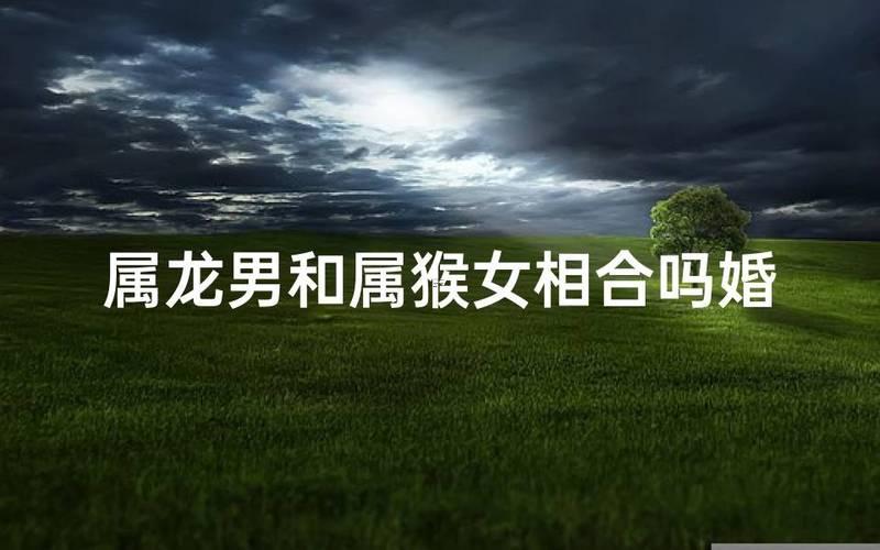 屬猴跟屬豬