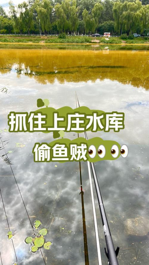 做夢(mèng)抓魚