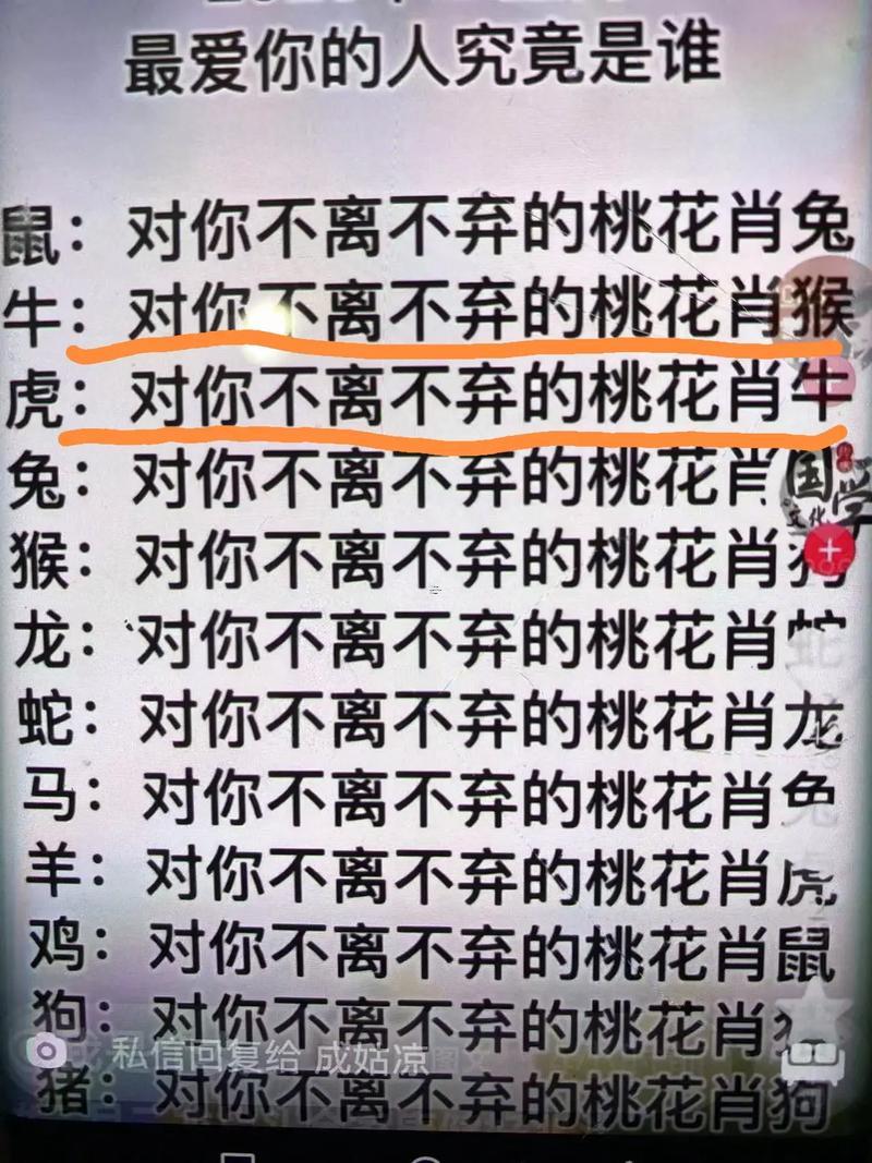 虎同牛得屬相合不合