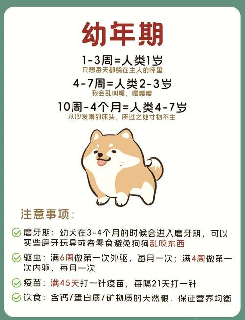 屬狗的是哪一年出生的