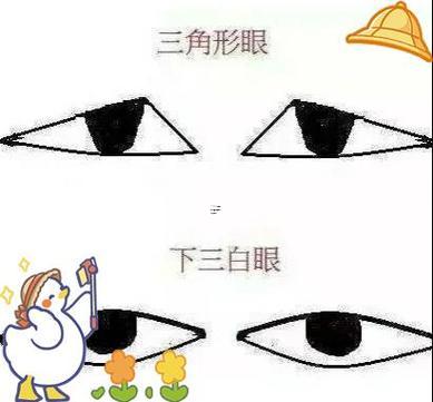三角眼的女人面相