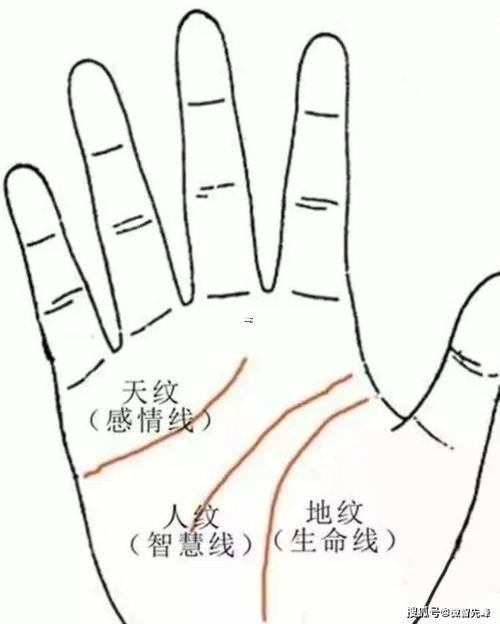 手相分析圖