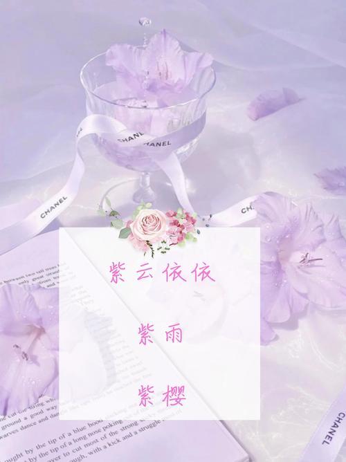 紫字取名的寓意