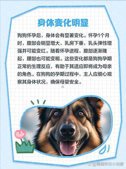 孕婦夢(mèng)見狗是胎夢(mèng)嗎