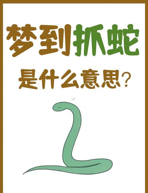 夢見蜈蚣