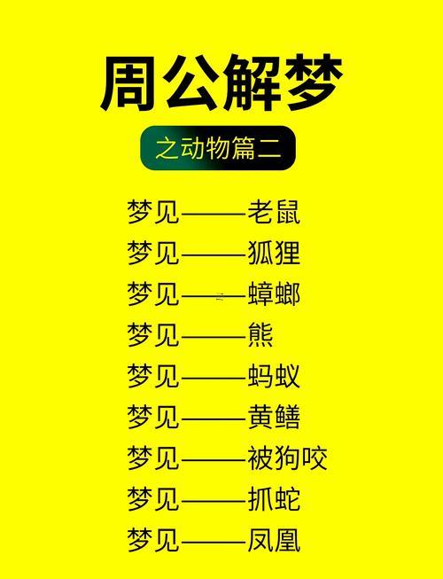 夢(mèng)見小老鼠