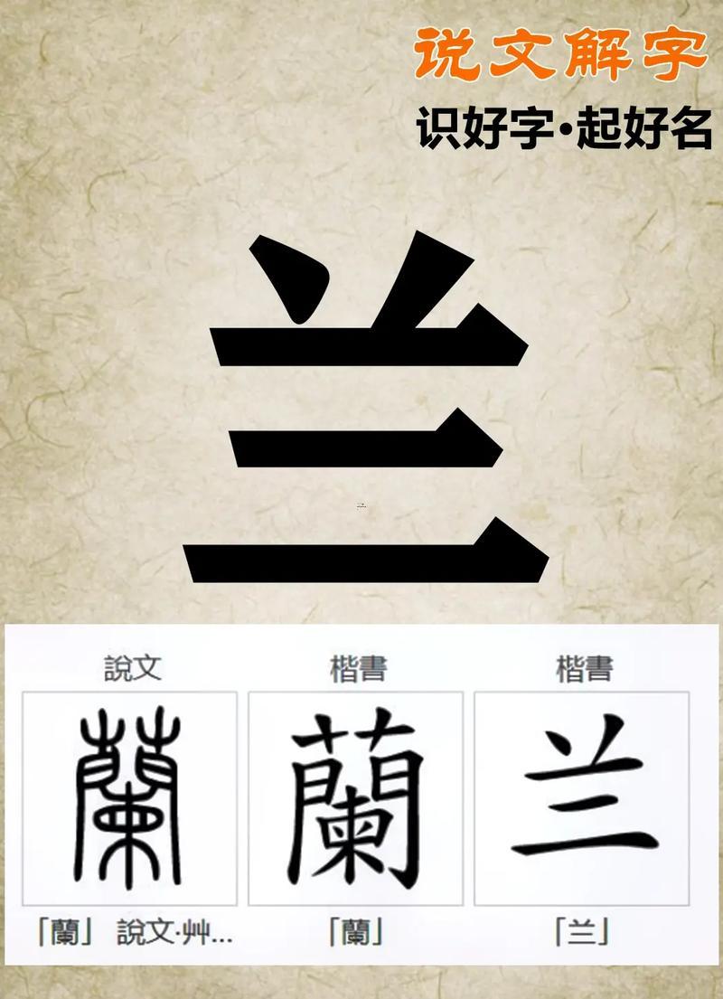 蘭字取名的寓意