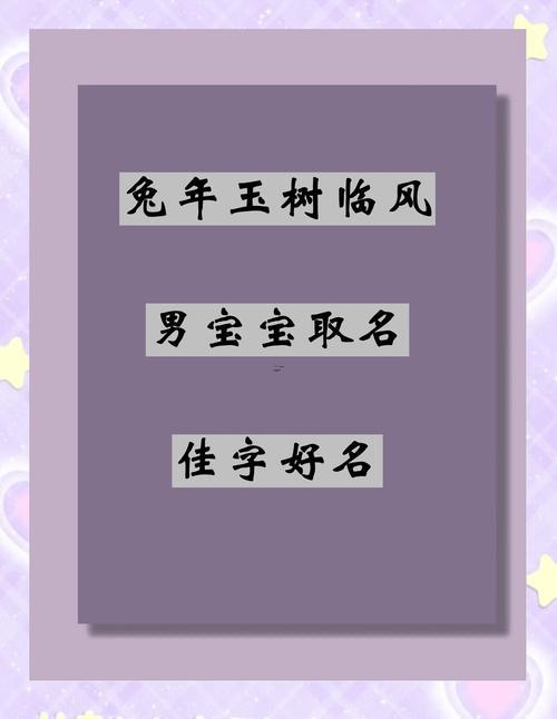 男孩子名
