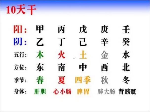 天干地支五行屬性