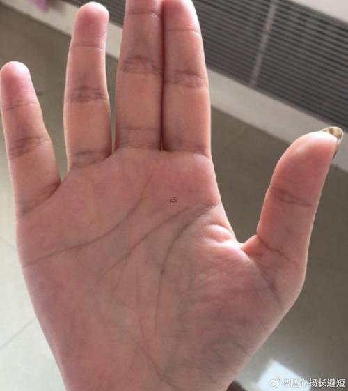 手掌紋路多且雜亂是為啥