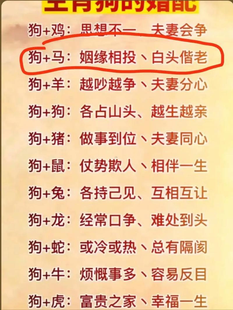 屬馬跟屬狗