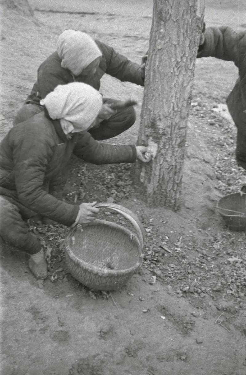 1963年是何事年