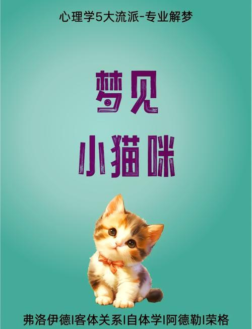 夢見野貓