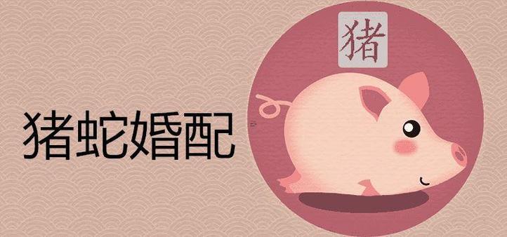豬與蛇相配婚姻怎么