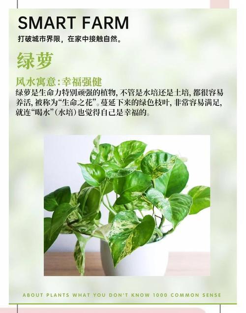 臥室風水禁忌