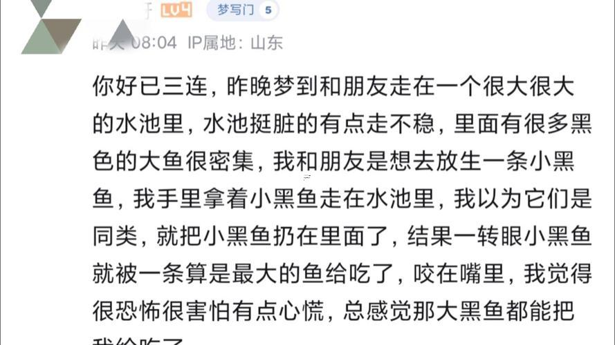 夢見抓好多魚