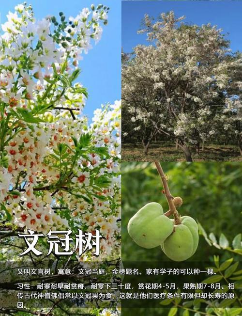園林風(fēng)水