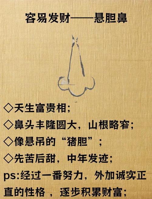 鼻子山根