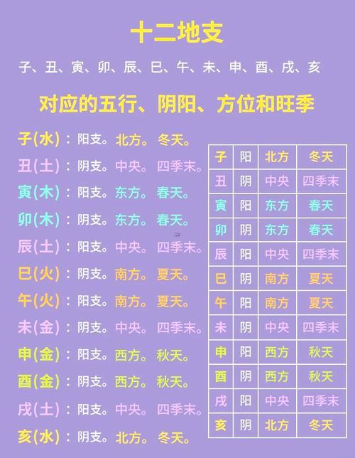 查命格五行屬性
