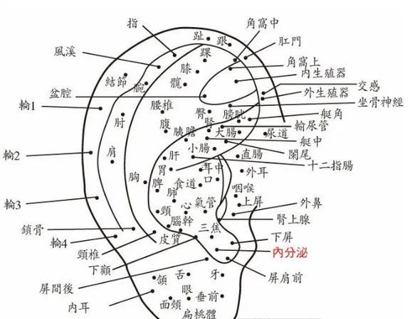 耳朵長(zhǎng)痣代表何事