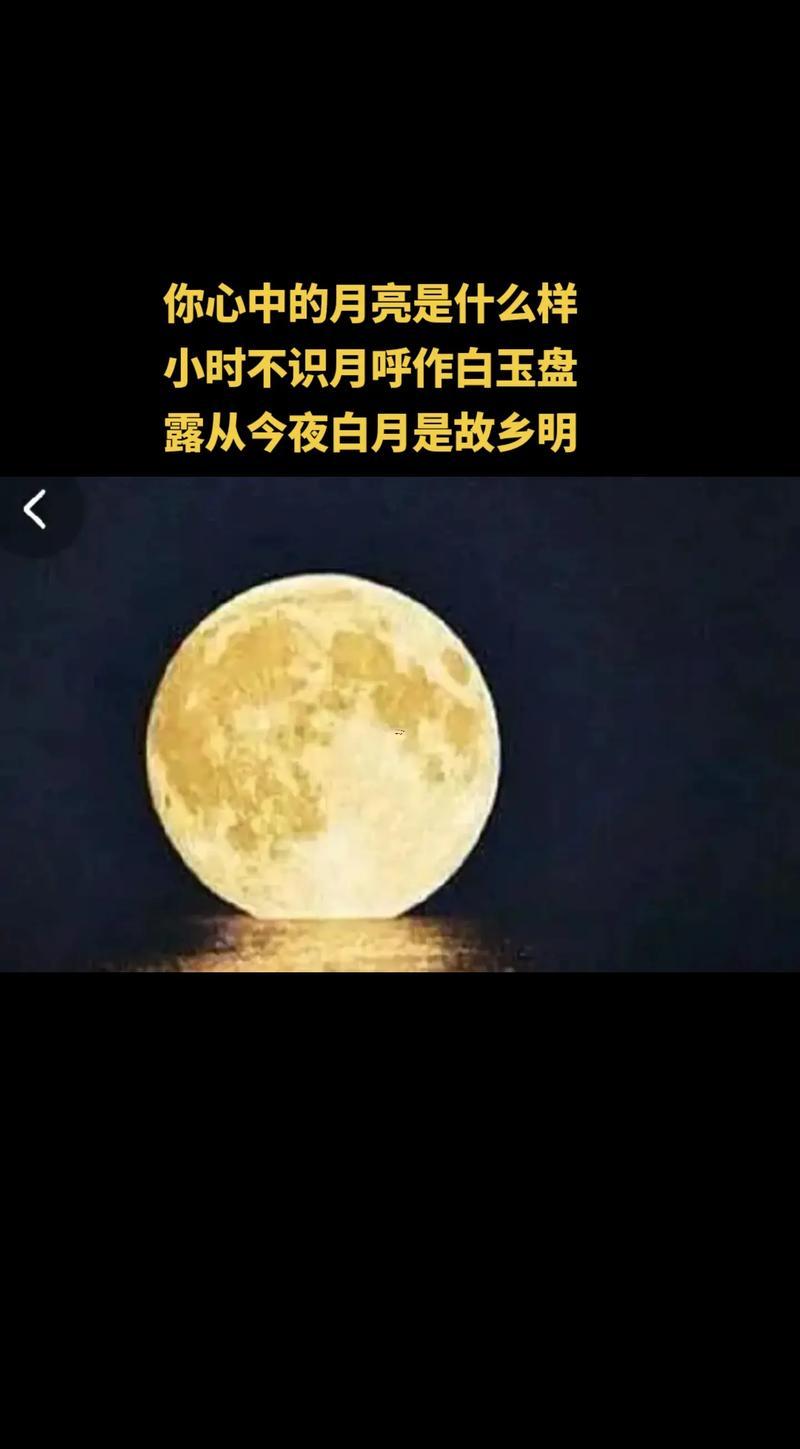 月什么東西意思