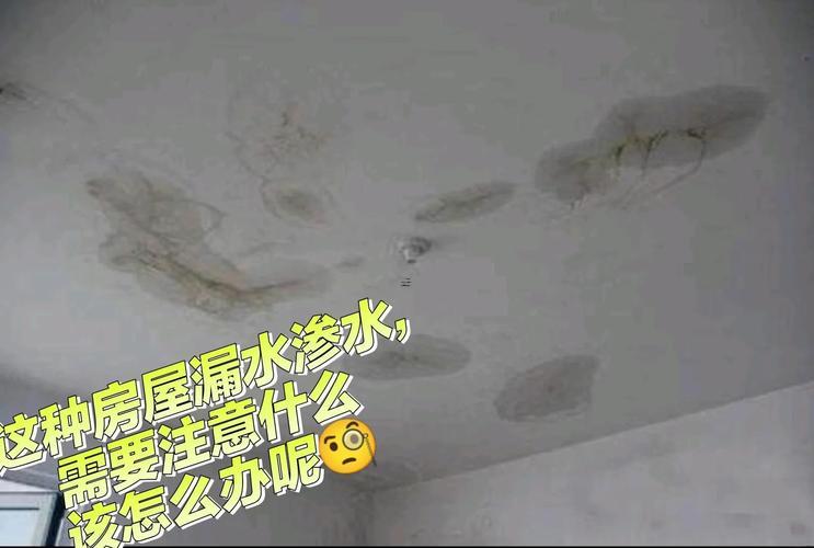 夢見房頂漏水