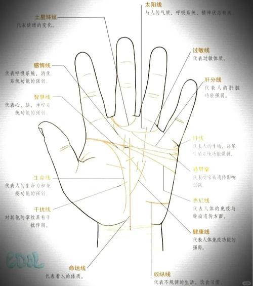 手相紋路女人