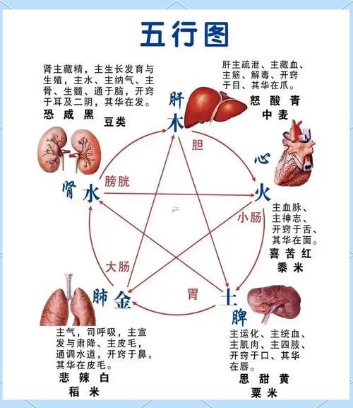 亥五行屬什么東西