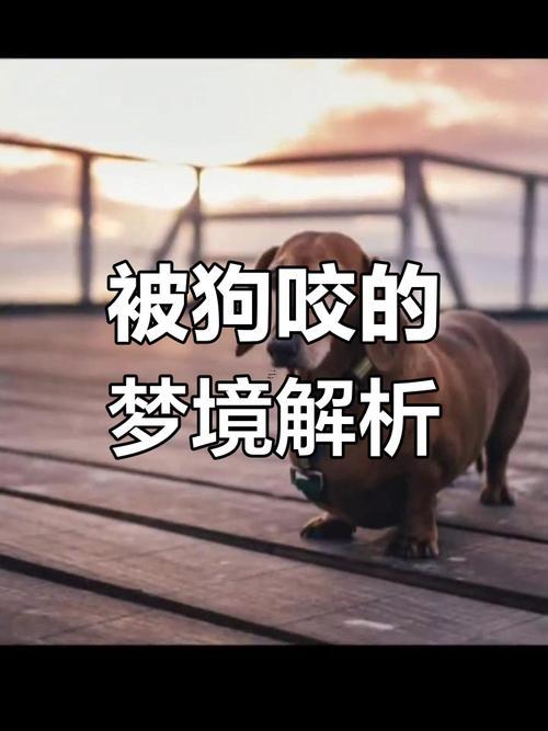 夢見狗咬自己的手