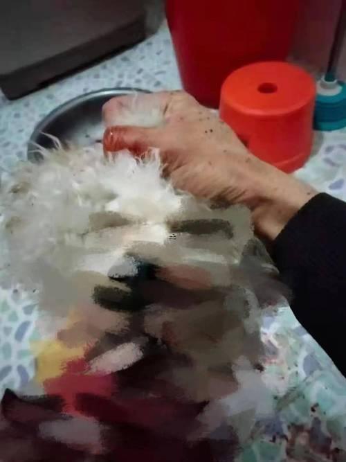 夢見有人被肢解分尸