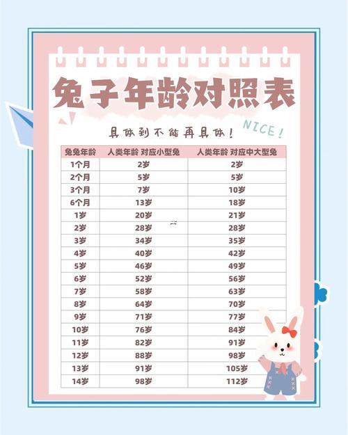 兔子年齡對照表