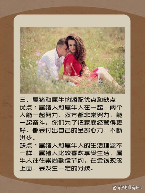 屬豬與屬牛的合不合