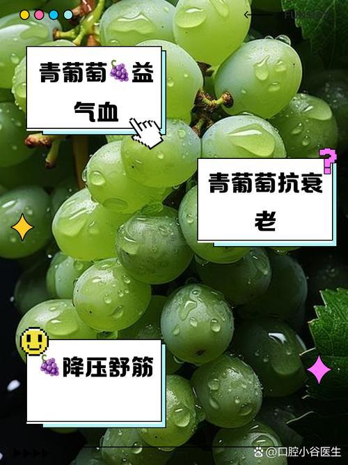 夢見摘葡萄