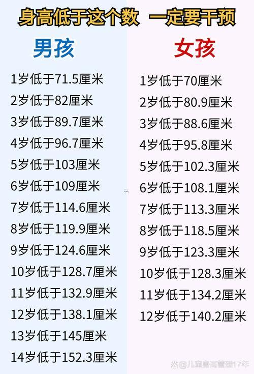 14歲屬什么