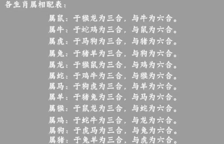 豬馬屬相合不合