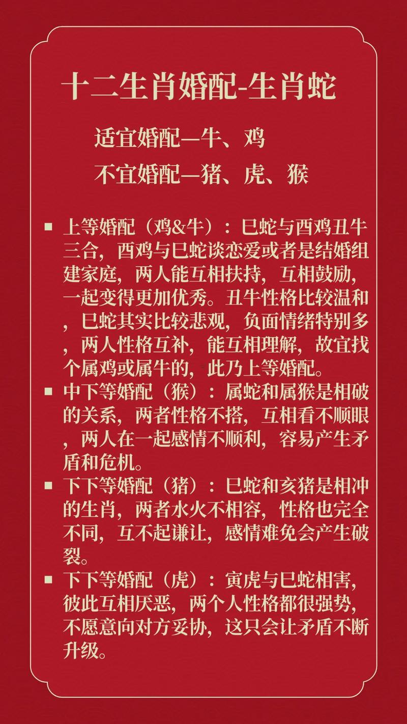 屬狗與屬蛇的合不合