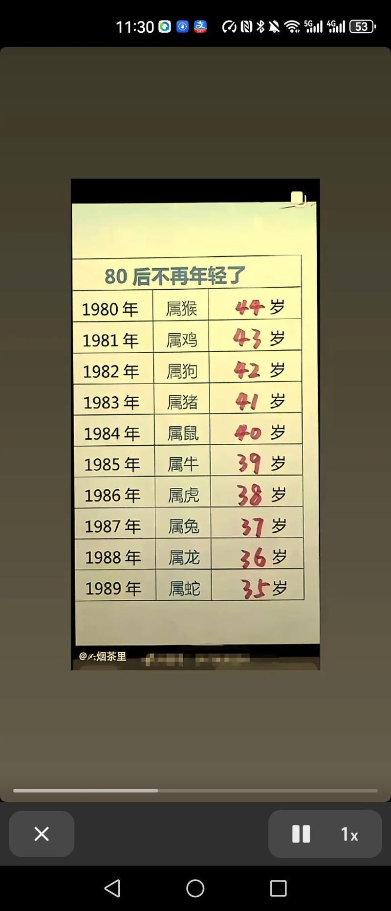 豬與什么生肖最配