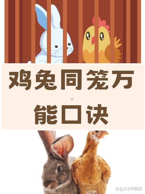 雞跟著兔相配嗎