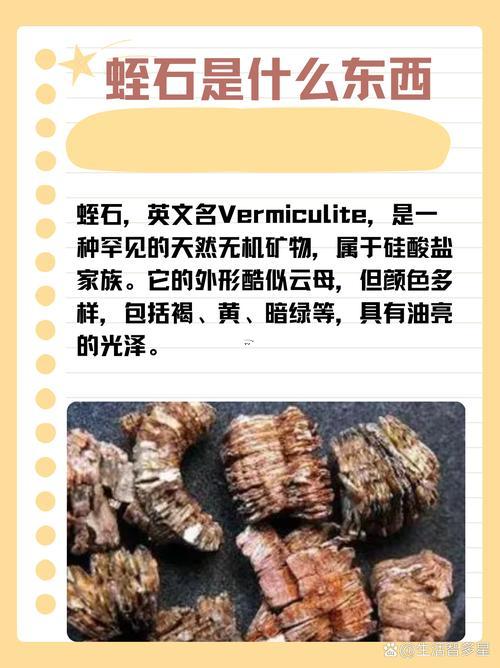 是啥東西