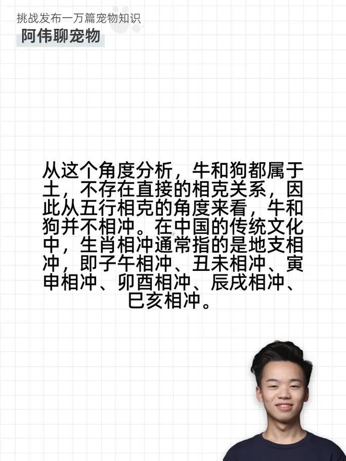 狗同牛合不合